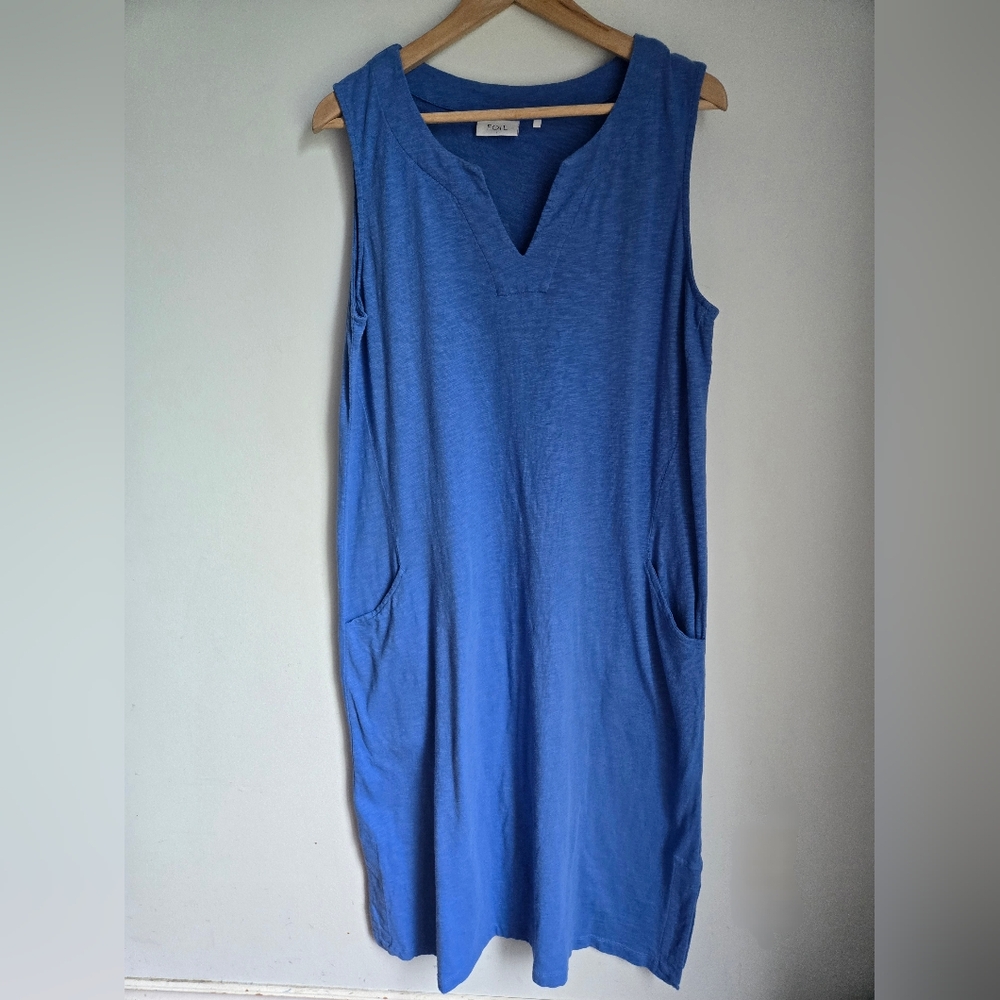 FOIL Vibrant Blue Sleeveless Dress